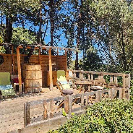 Coin Exotique Villa Casaeva Porto-Vecchio  Exteriör bild