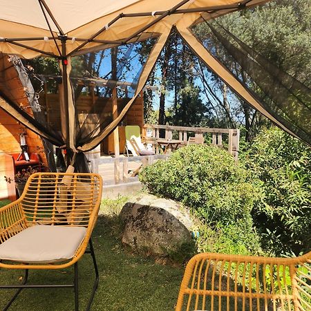 Coin Exotique Villa Casaeva Porto-Vecchio  Exteriör bild