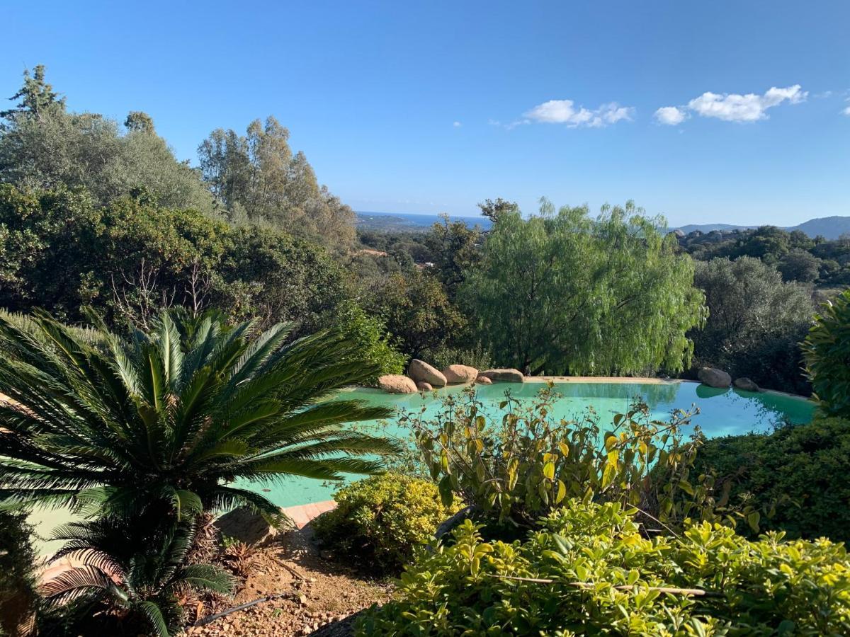 Coin Exotique Villa Casaeva Porto-Vecchio  Exteriör bild